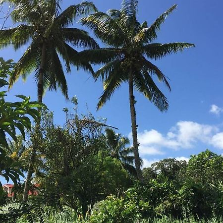 Le Morne-Rouge Logement En Pleine Verdure Tropicale -10 Min Plage מראה חיצוני תמונה