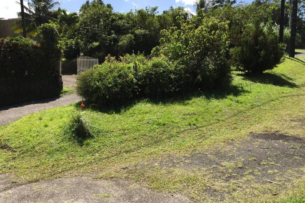 Le Morne-Rouge Logement En Pleine Verdure Tropicale -10 Min Plage מראה חיצוני תמונה
